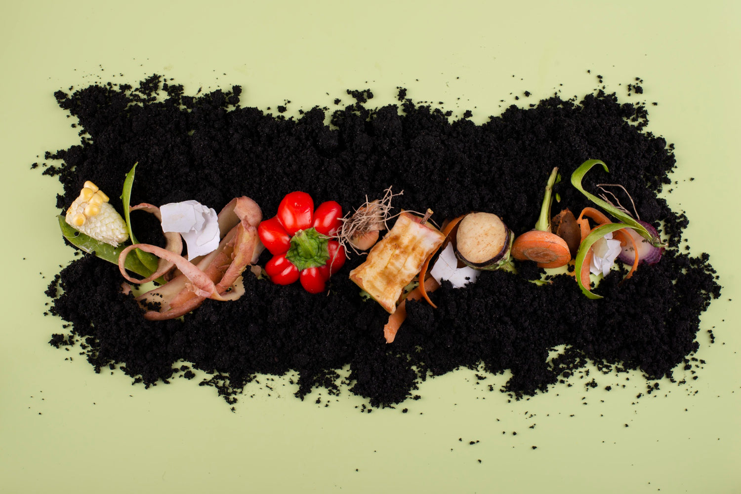 Biodegradable vs. Compostable: What’s the Difference