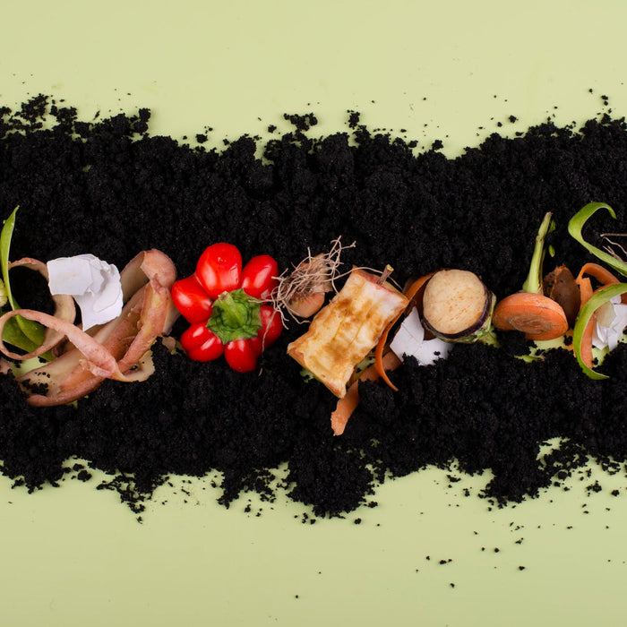 Biodegradable vs. Compostable: What’s the Difference