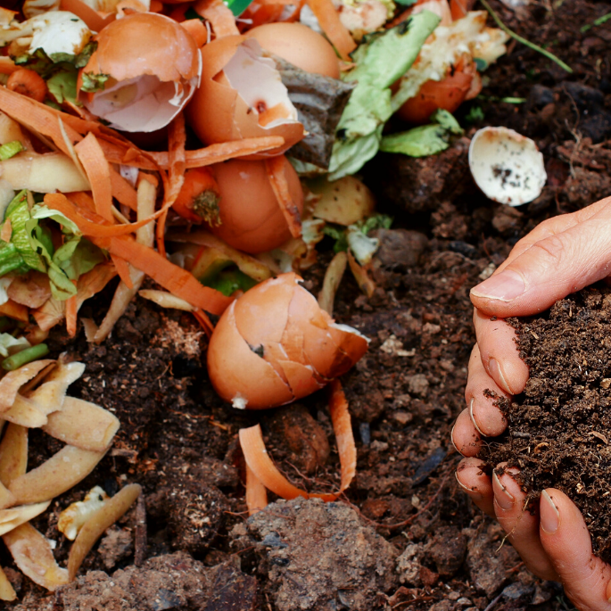 What You Need to Know About California’s New Composting Law