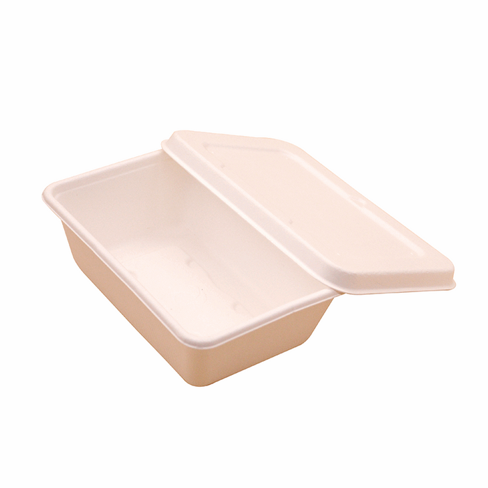 ECO Renewable Take-Out Containers, 5, White, Pack Of 800 Containers