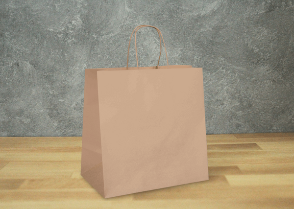 Medium Paper Bag (250pcs)