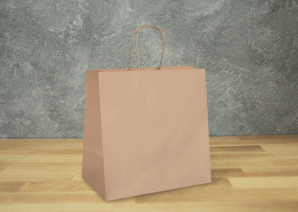 Medium Paper Bag (250pcs) - This Element Inc.
