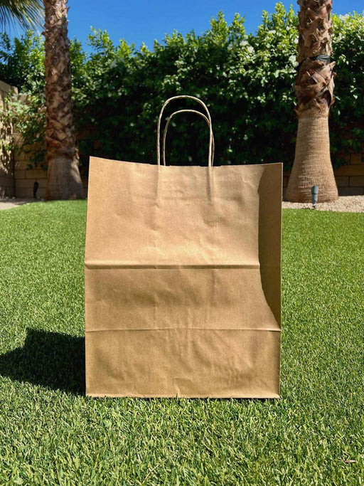 Jumbo Paper Bag with PTH Handle - This Element Inc.